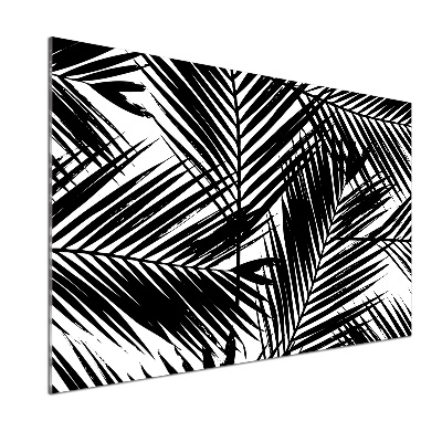 Cooker splashback Palm leaves