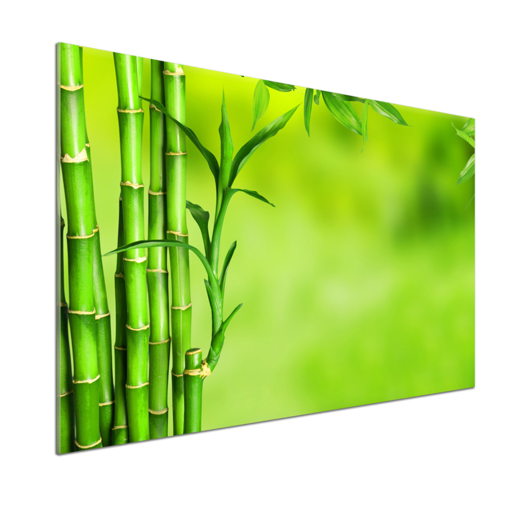 Cooker splashback Bamboo