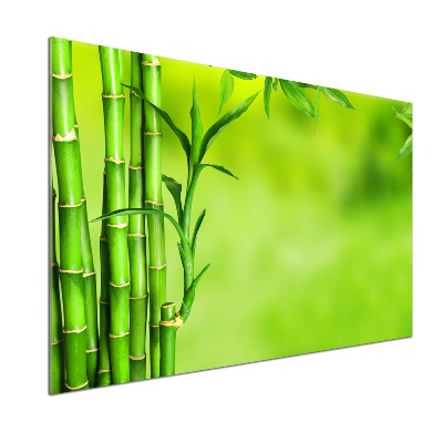 Cooker splashback Bamboo