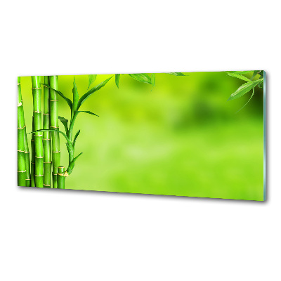 Cooker splashback Bamboo