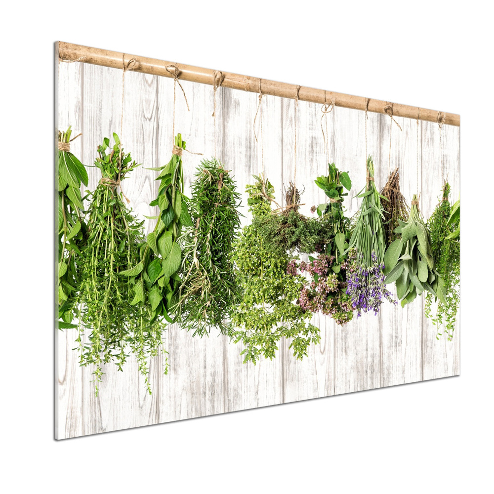 Cooker splashback Herbs on a string