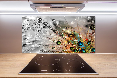 Cooker splashback Dandelion seeds