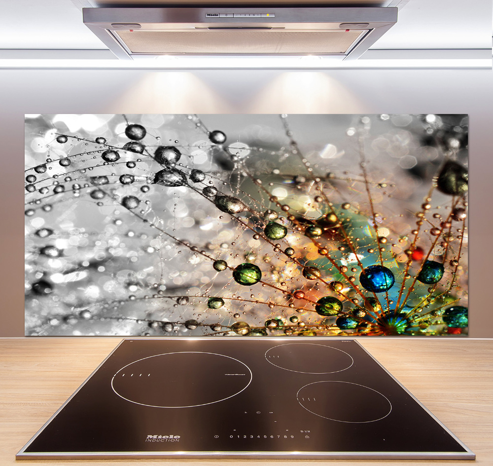 Cooker splashback Dandelion seeds