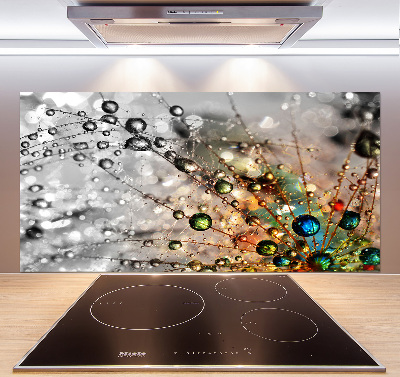 Cooker splashback Dandelion seeds