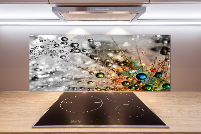 Cooker splashback Dandelion seeds