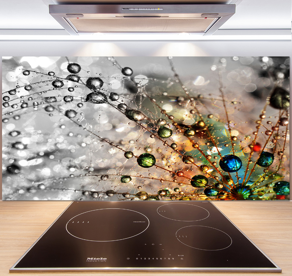 Cooker splashback Dandelion seeds