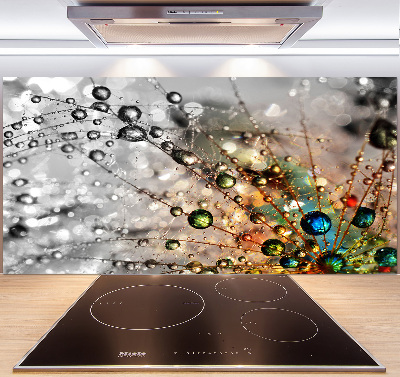 Cooker splashback Dandelion seeds