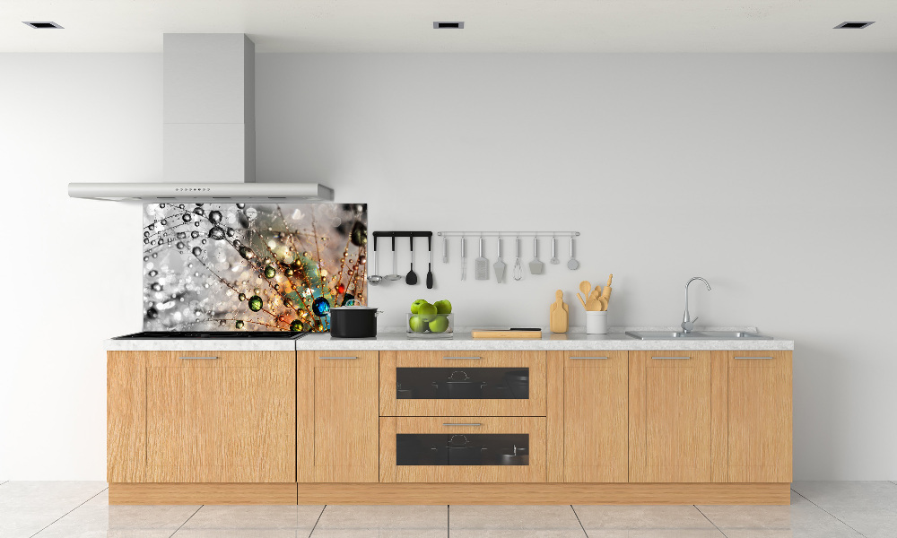 Cooker splashback Dandelion seeds