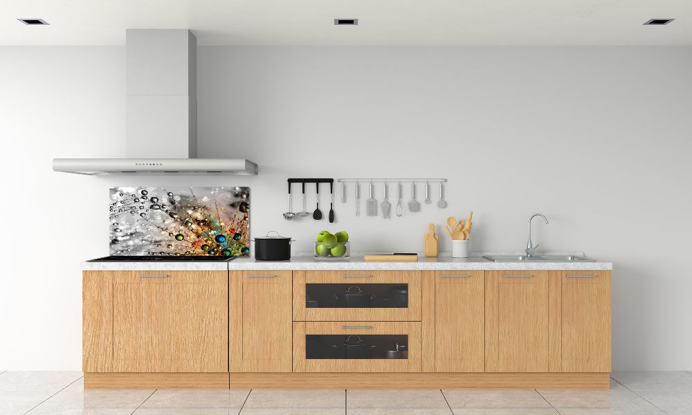 Cooker splashback Dandelion seeds