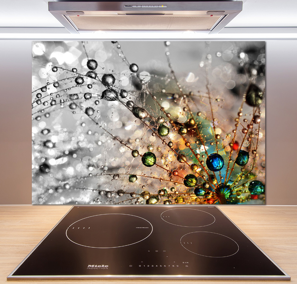 Cooker splashback Dandelion seeds