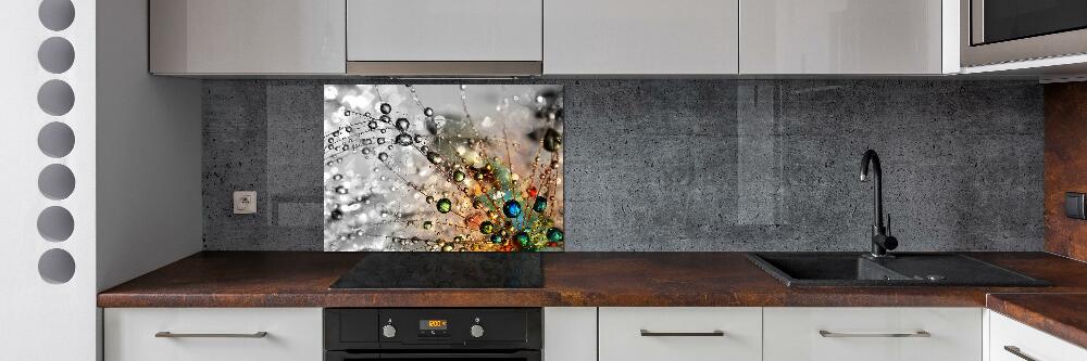 Cooker splashback Dandelion seeds