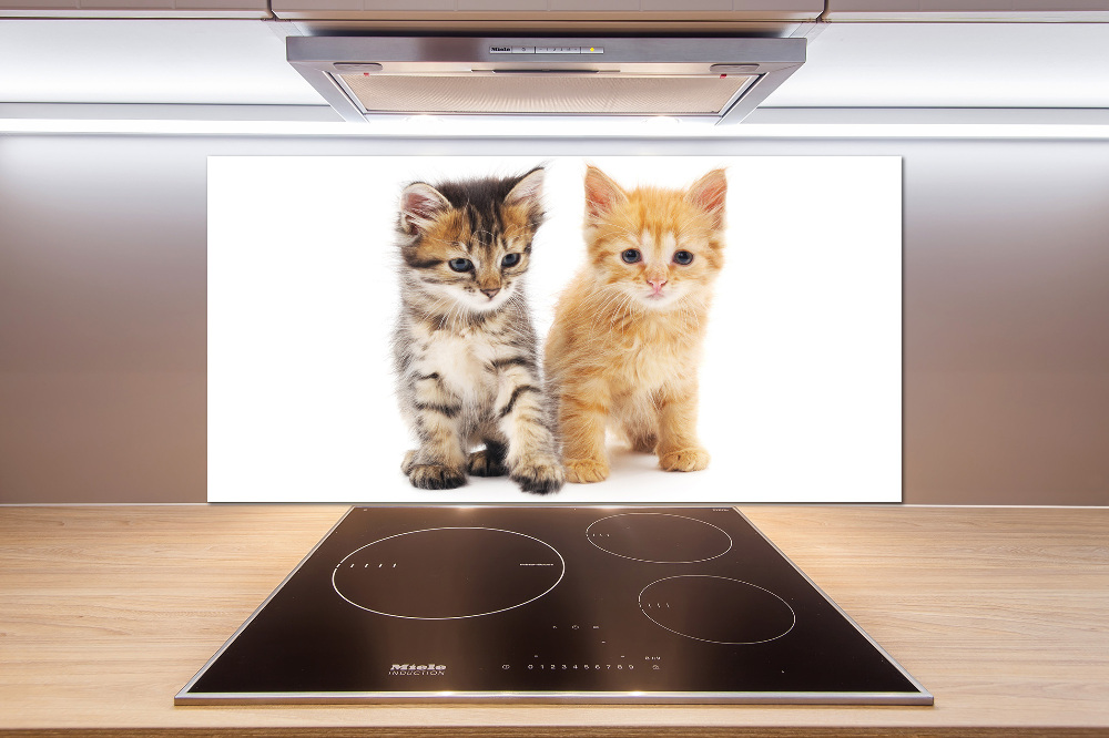 Cooker splashback Brown and red cat