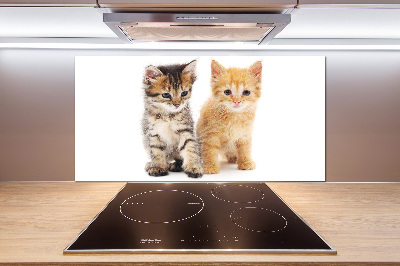 Cooker splashback Brown and red cat