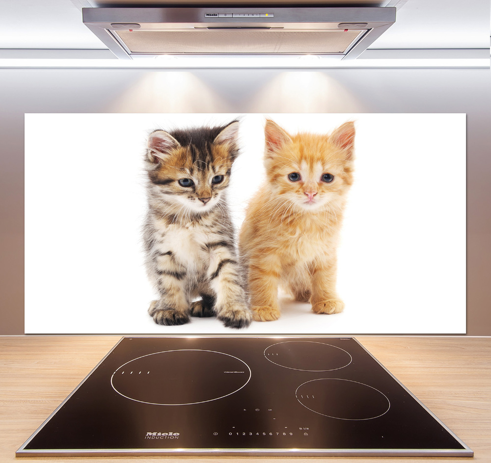 Cooker splashback Brown and red cat