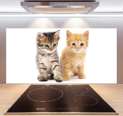 Cooker splashback Brown and red cat