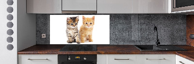 Cooker splashback Brown and red cat