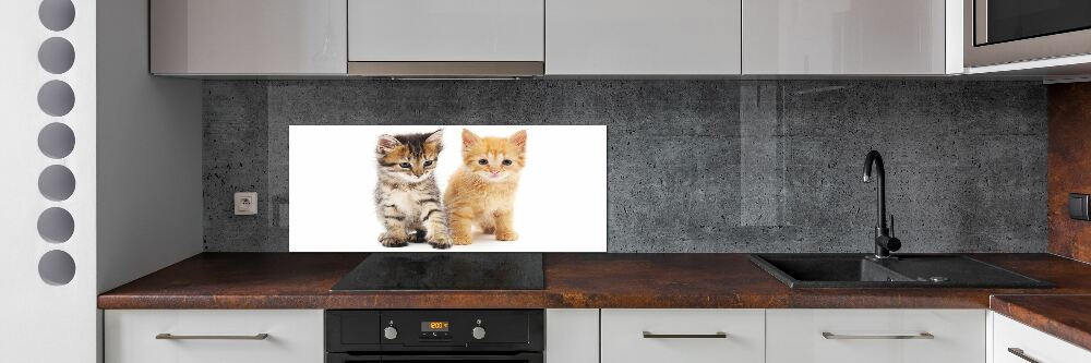 Cooker splashback Brown and red cat