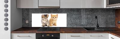 Cooker splashback Brown and red cat