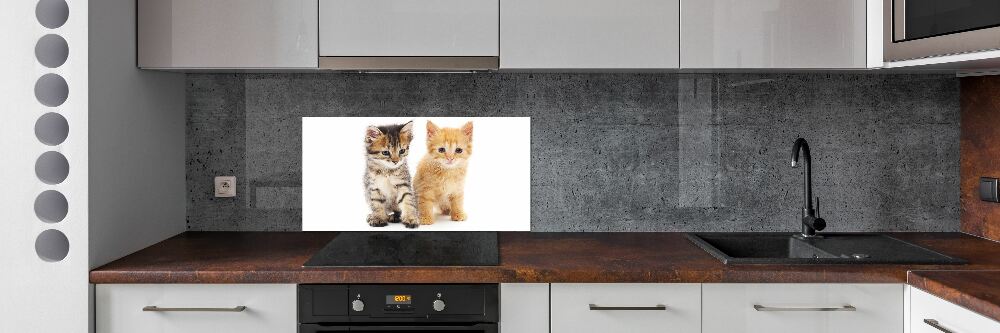 Cooker splashback Brown and red cat