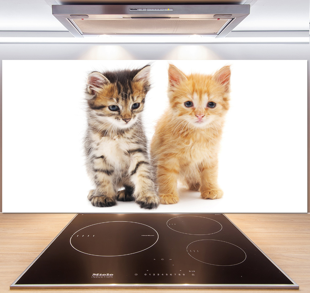 Cooker splashback Brown and red cat