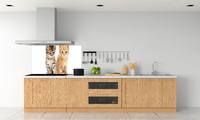 Cooker splashback Brown and red cat