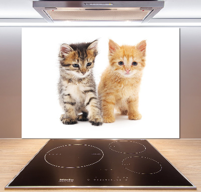 Cooker splashback Brown and red cat