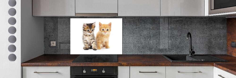 Cooker splashback Brown and red cat