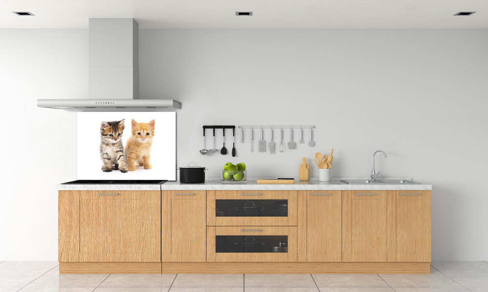 Cooker splashback Brown and red cat