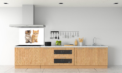 Cooker splashback Brown and red cat