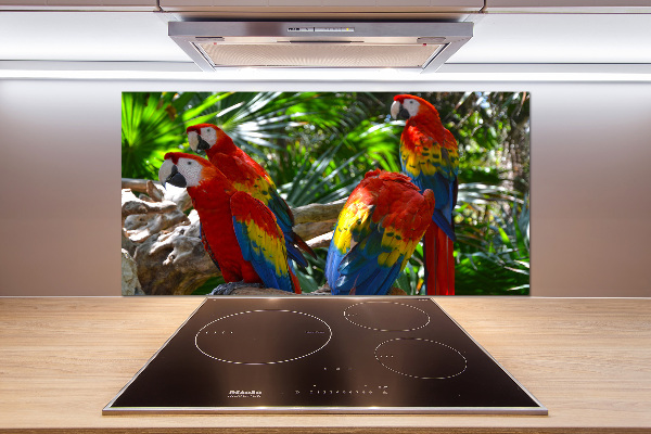 Cooker splashback Ary parrots