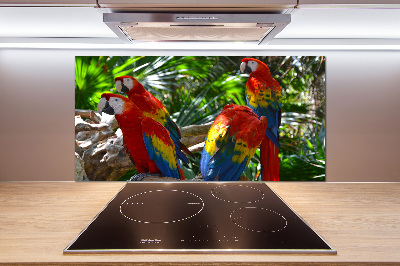 Cooker splashback Ary parrots