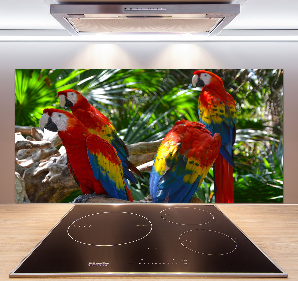 Cooker splashback Ary parrots