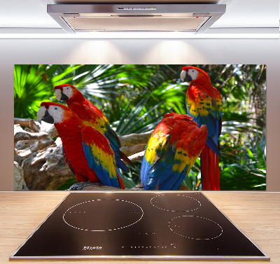 Cooker splashback Ary parrots