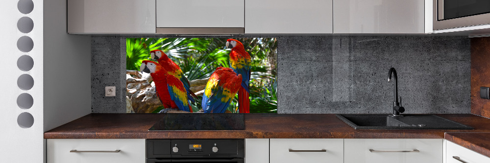 Cooker splashback Ary parrots