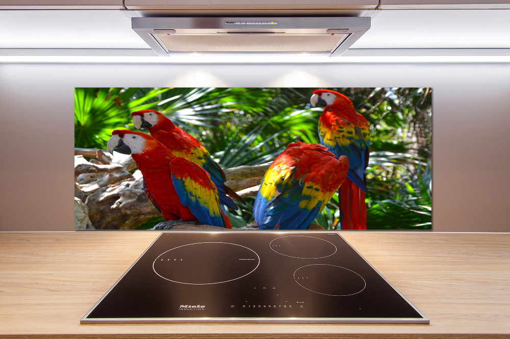 Cooker splashback Ary parrots