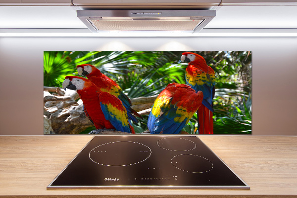 Cooker splashback Ary parrots