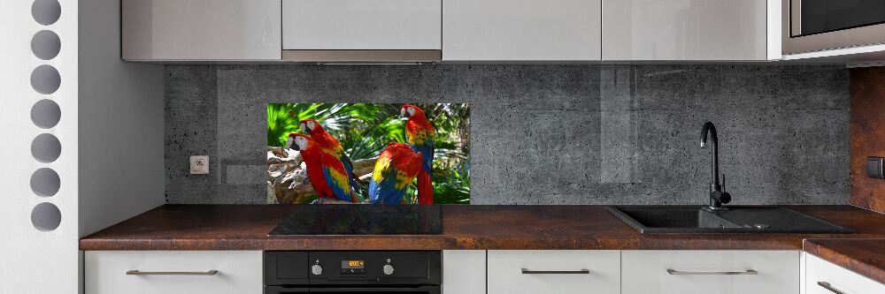 Cooker splashback Ary parrots