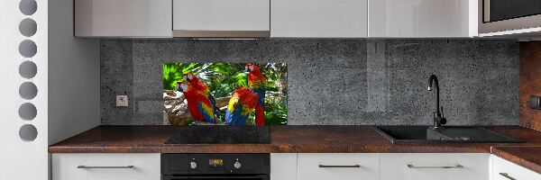 Cooker splashback Ary parrots