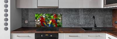 Cooker splashback Ary parrots