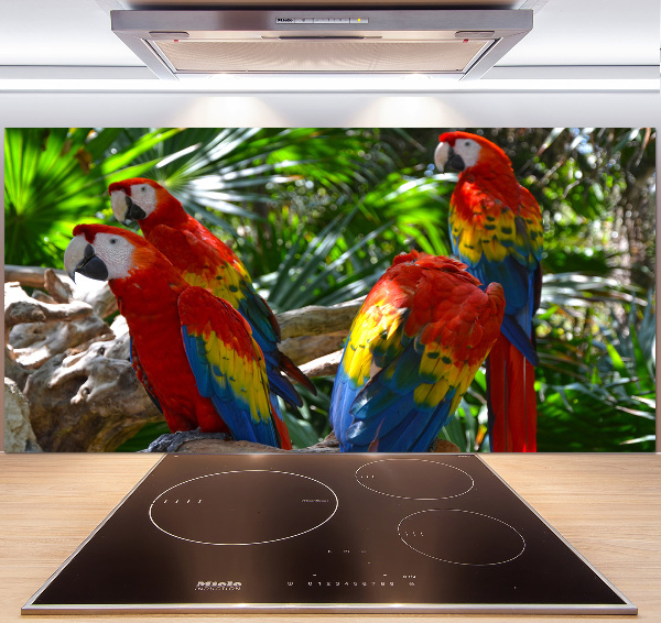 Cooker splashback Ary parrots