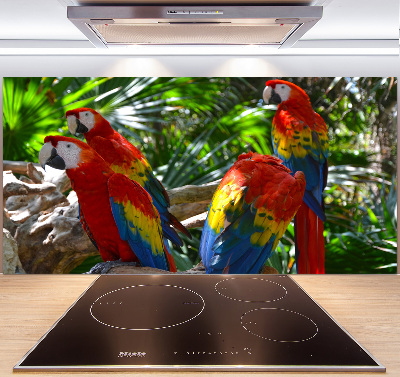 Cooker splashback Ary parrots