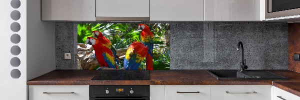 Cooker splashback Ary parrots