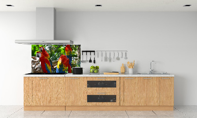 Cooker splashback Ary parrots