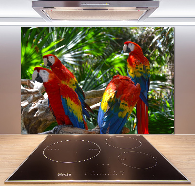 Cooker splashback Ary parrots