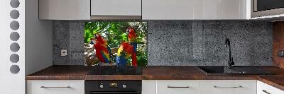 Cooker splashback Ary parrots