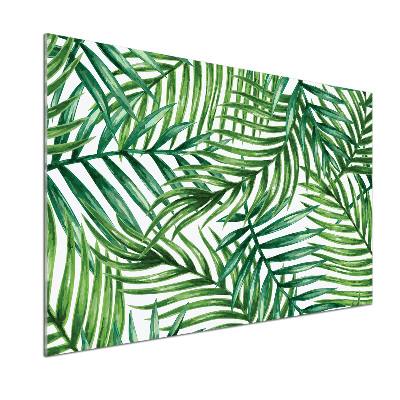 Kitchen splashback Palm leaves