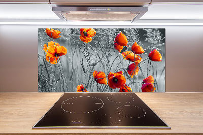 Cooker splashback Field poppies