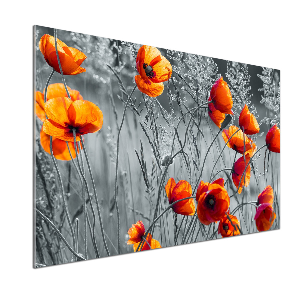 Cooker splashback Field poppies