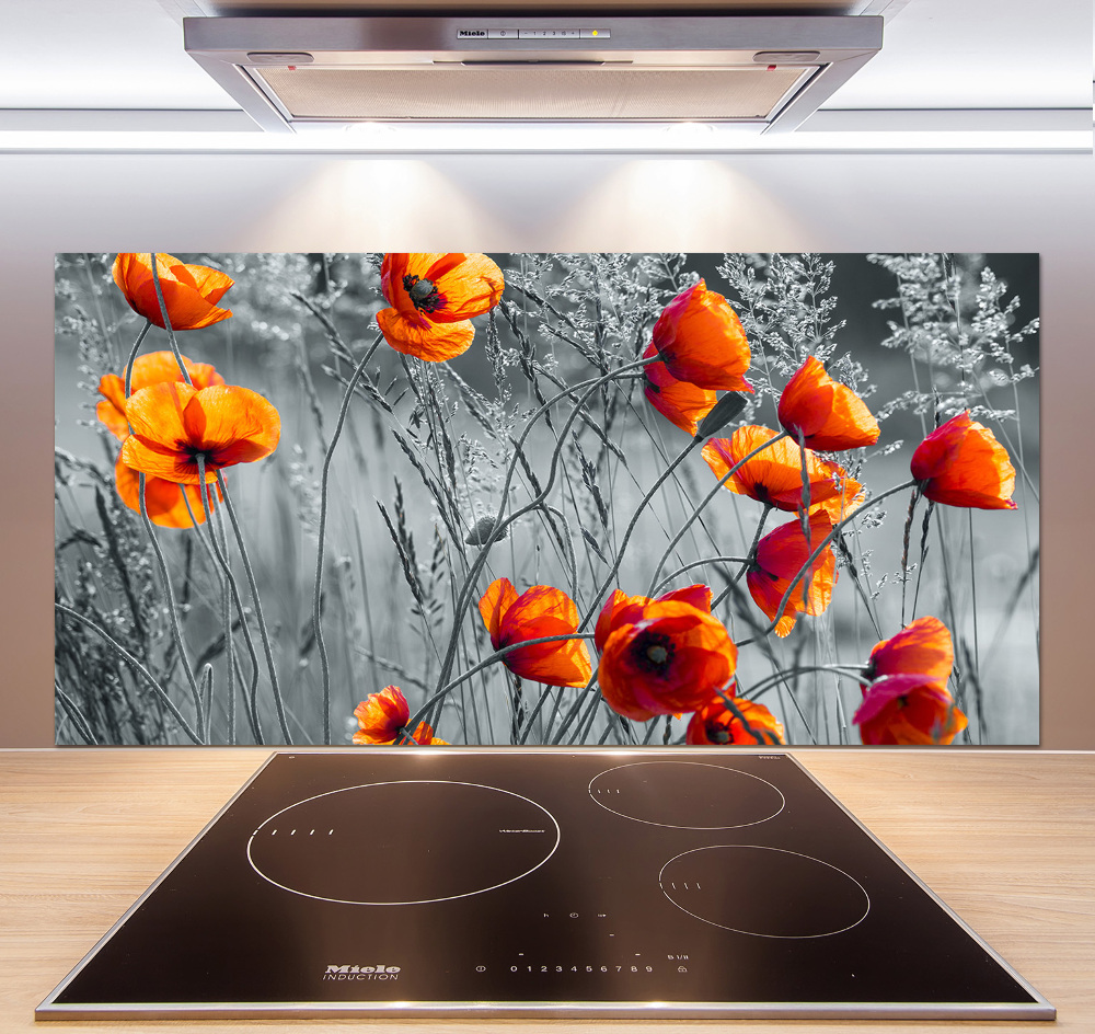 Cooker splashback Field poppies