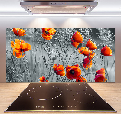 Cooker splashback Field poppies